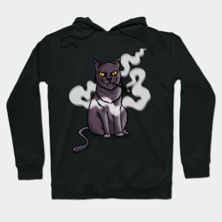 Smoking cat Hoodie